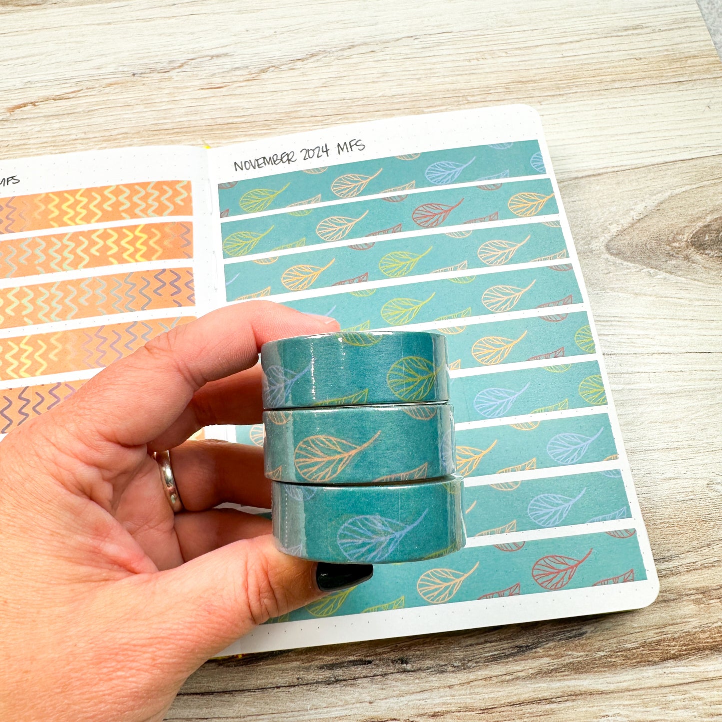 November 2024 Monthly Functional Sub Washi