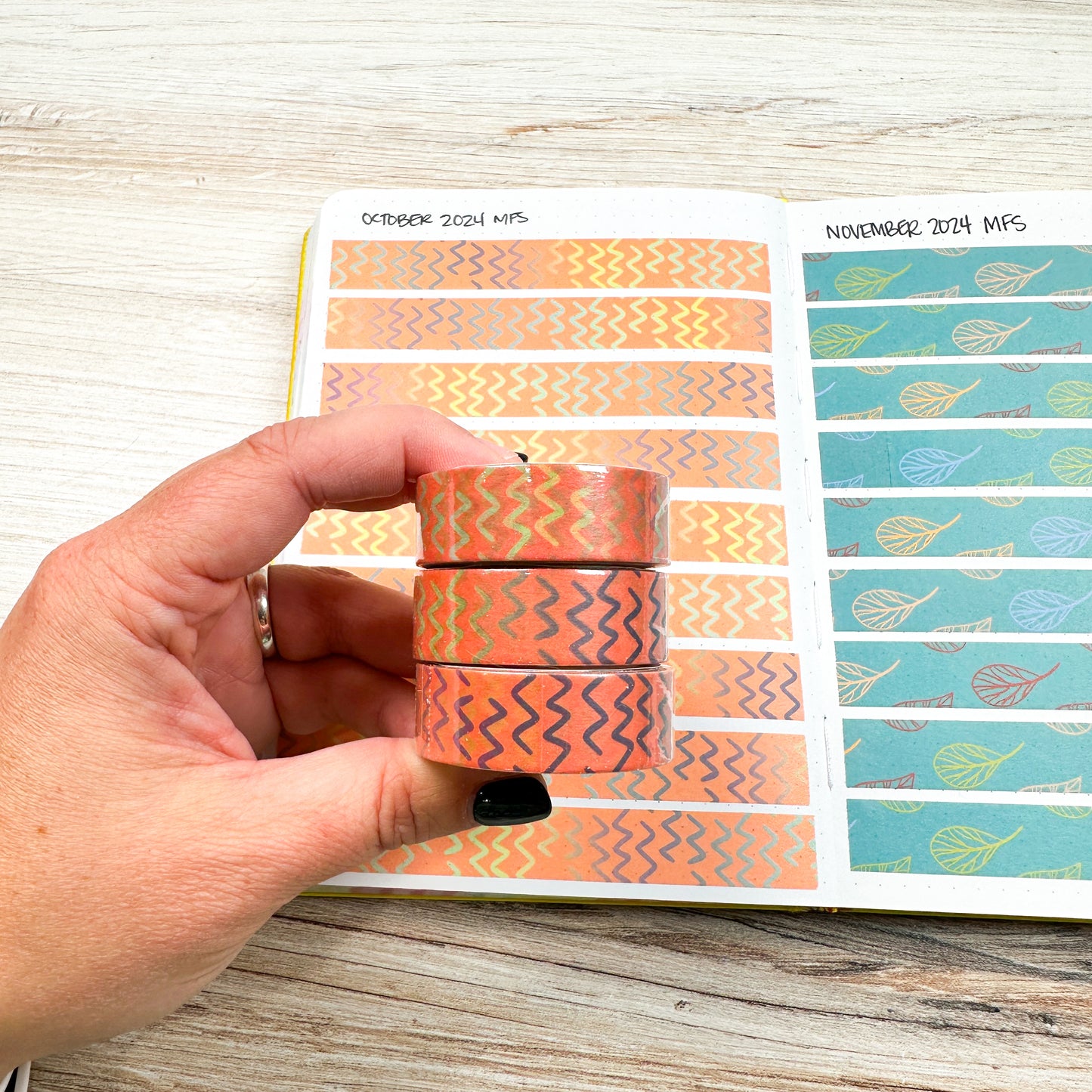 October 2024 Monthly Functional Sub Washi