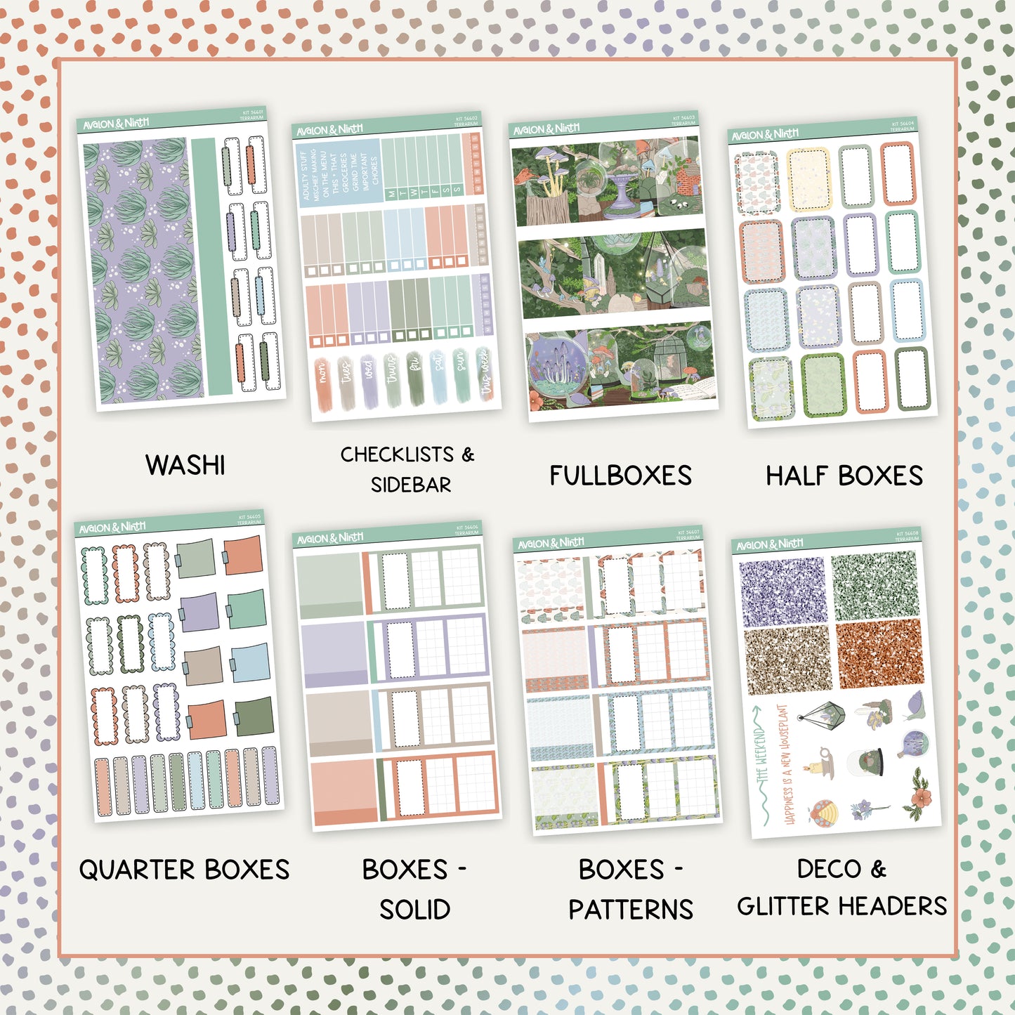 Terrarium Weekly Kit // KIT56601