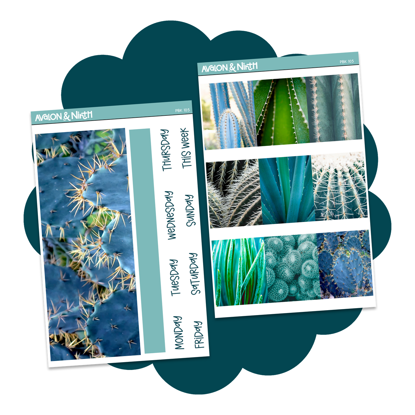 Cactus Photo Base Kit // PBK105