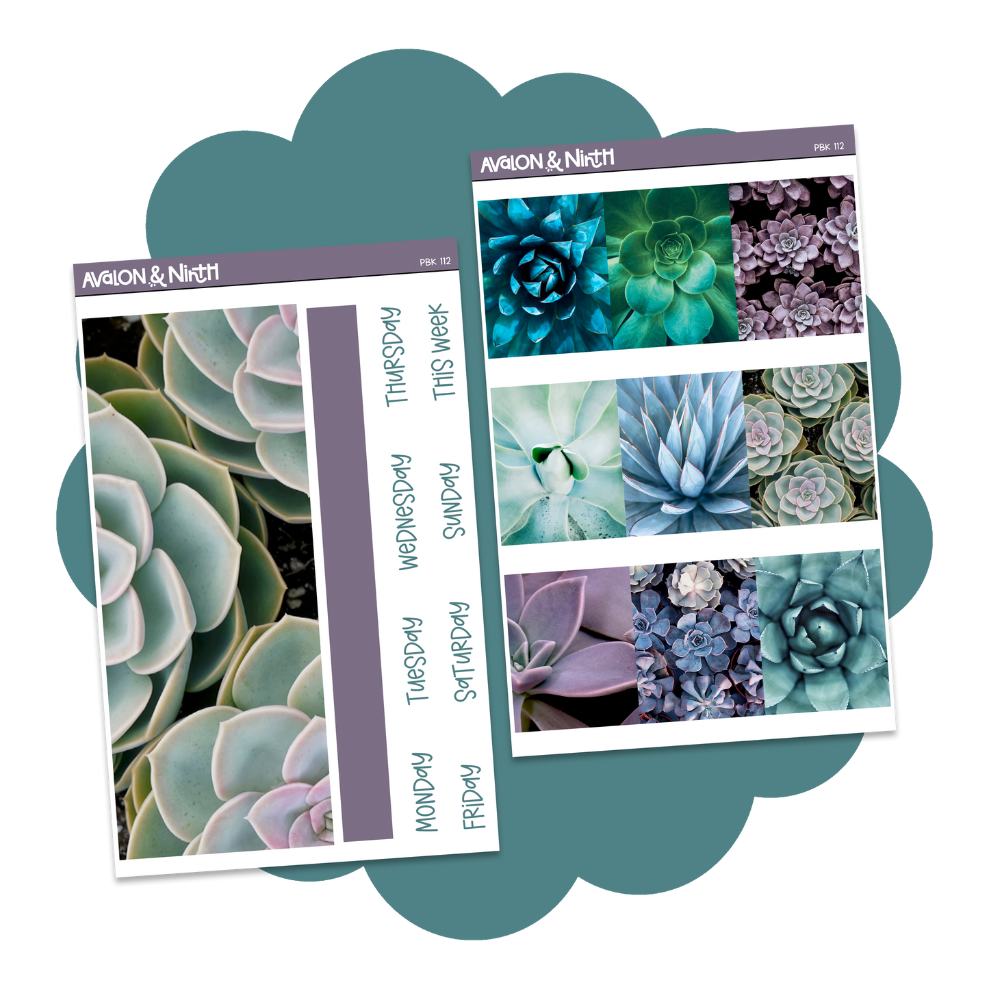Succulents Photo Base Kit // PBK112