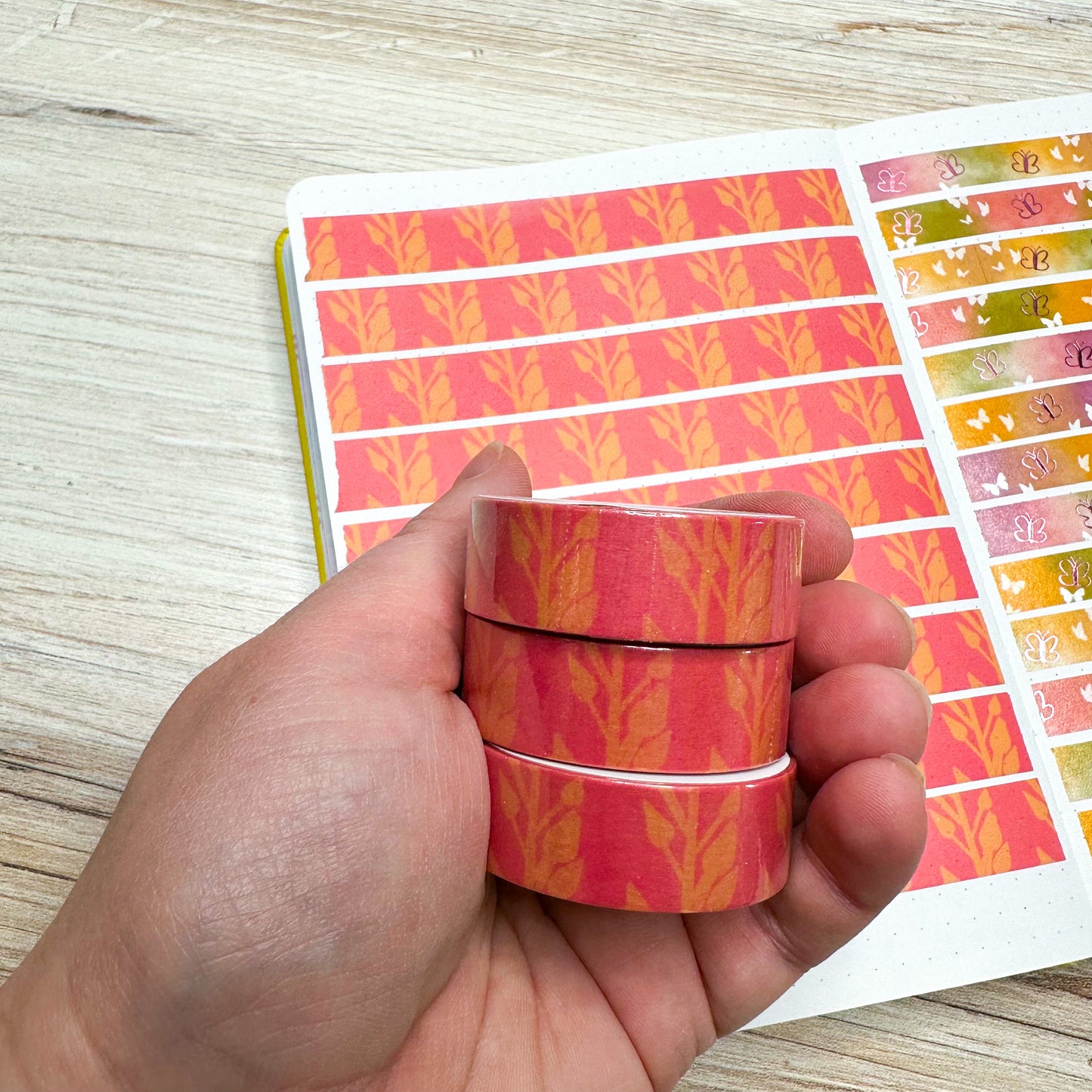 March 2023 Mystery Kit Washi - 15mm