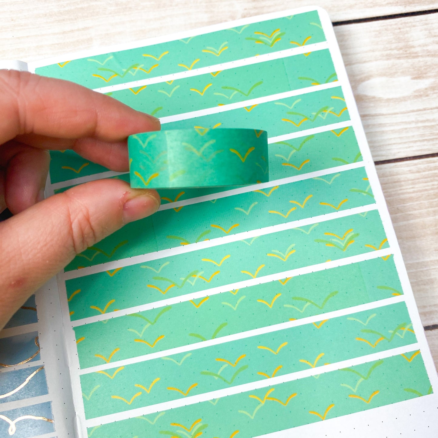 January 2023 Monthly Functional Sub Washi