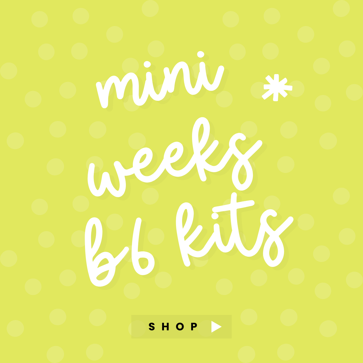 Mini/Weeks/B6 Kits