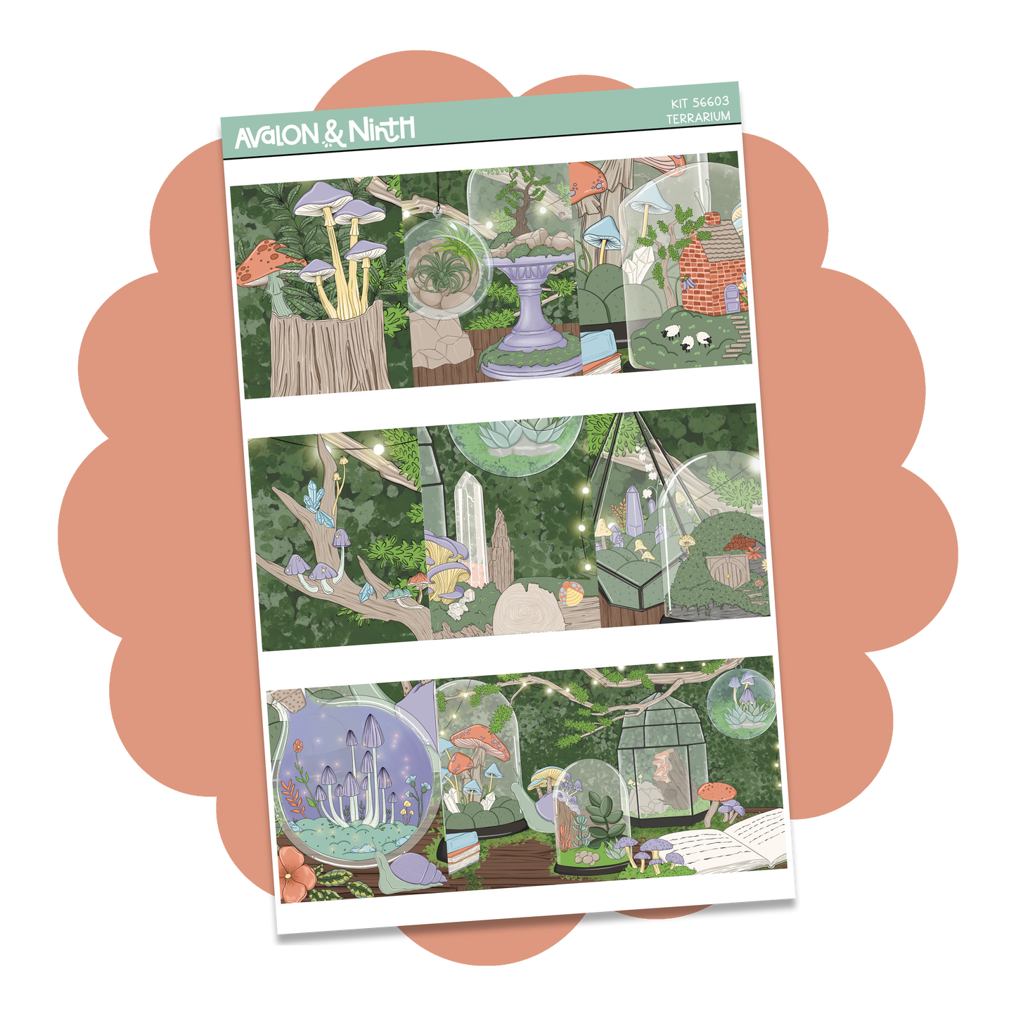 Terrarium Weekly Kit // KIT56601