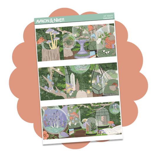 Terrarium Weekly Kit // KIT56601