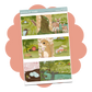 Woodland Animals Weekly Kit // KIT57201