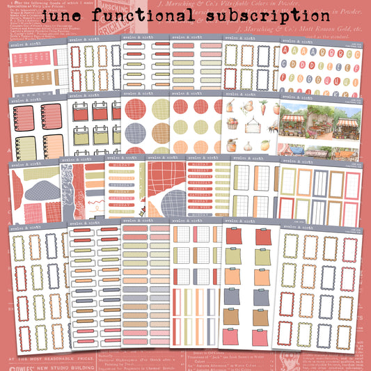 Monthly Functional Sticker Subscription