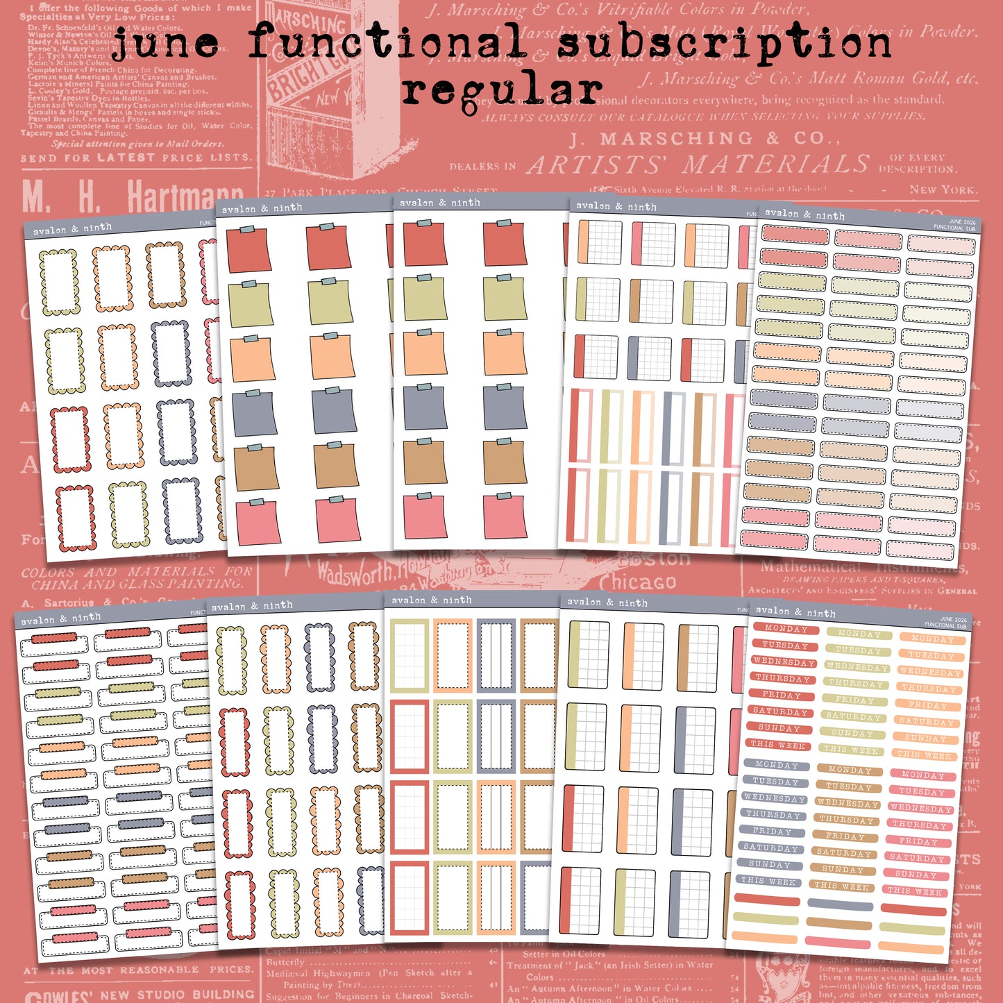 Monthly Functional Sticker Subscription