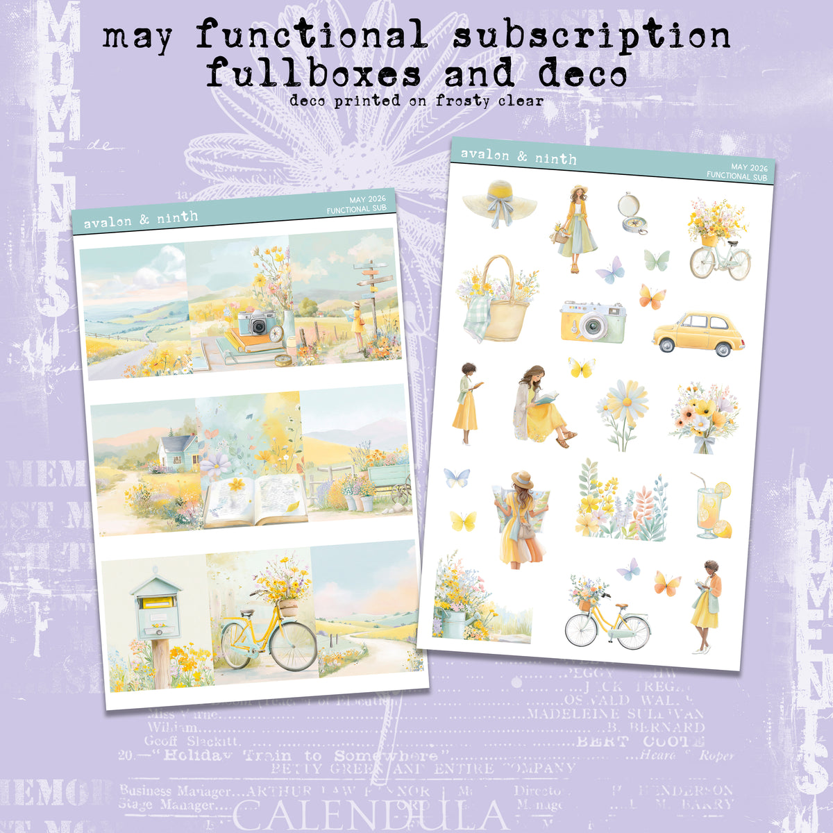 Monthly Subscription Extras