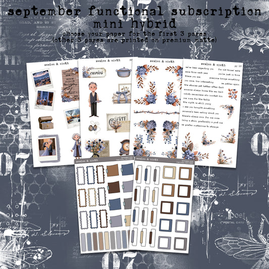 Mini Hybrid Deco and Functional Subscription