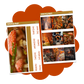 Fall Colors Photo Base Kit // PBK102