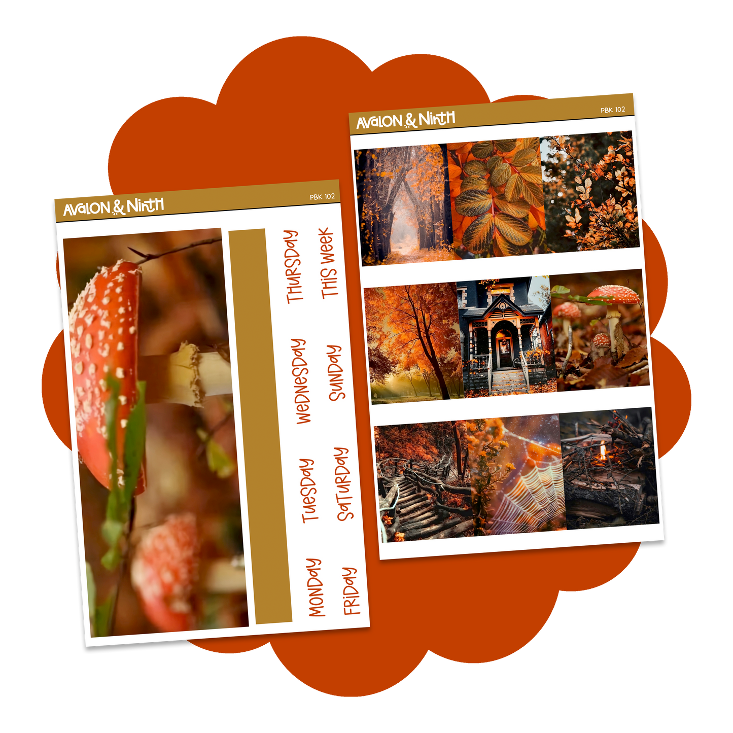 Fall Colors Photo Base Kit // PBK102