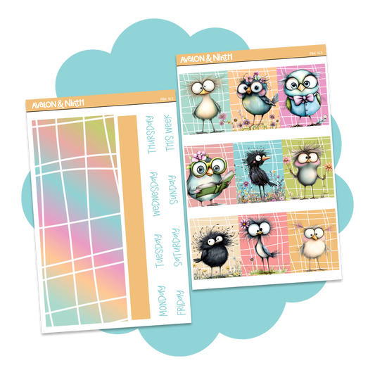 Quirky Birds Base Kit // PBK165